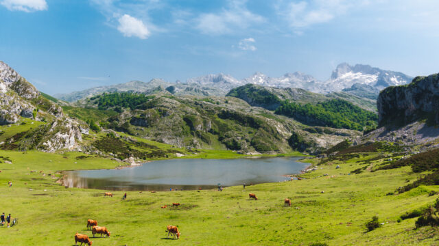 lake in the mountains