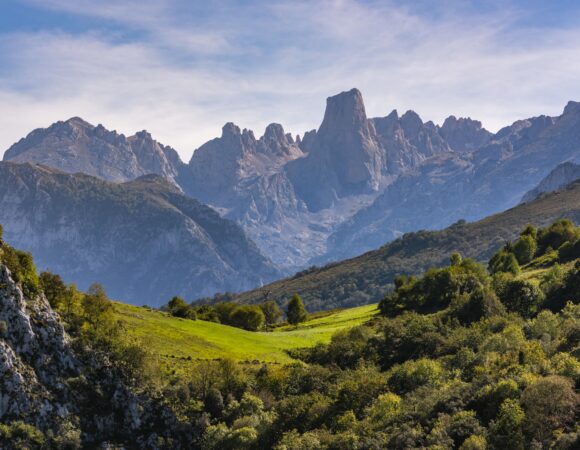 Cabrales