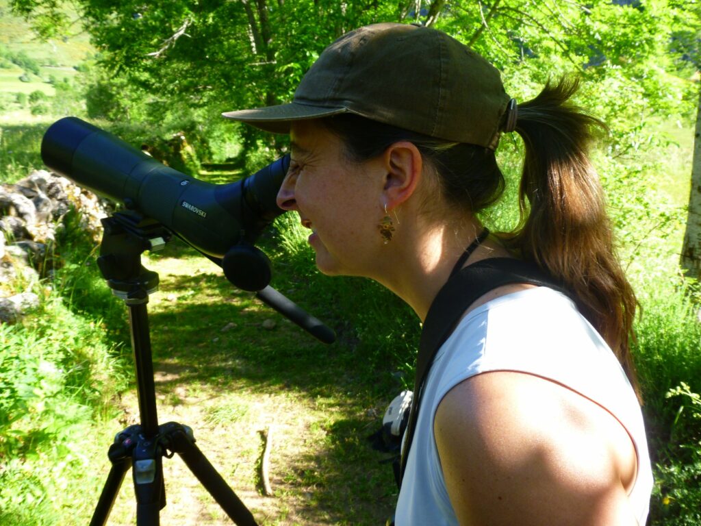 Asturias Walks Observación Fauna – Gloria Lana Holgado