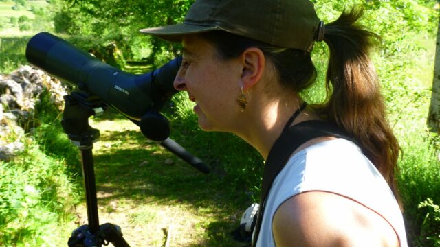Asturias Walks Observación Fauna – Gloria Lana Holgado
